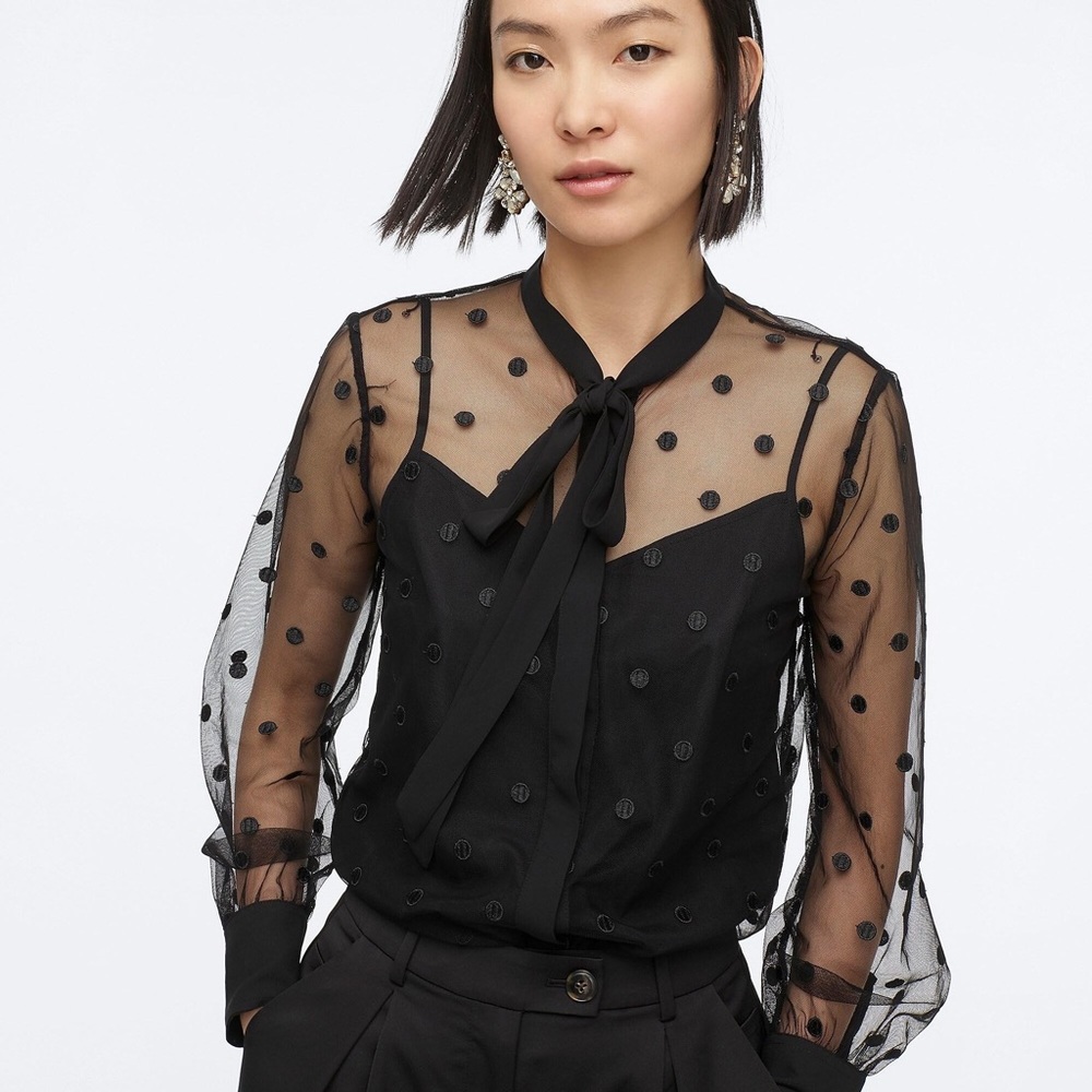 J. Crew Tie-Neck Long Sleeve Blouse in Dotted Tulle
